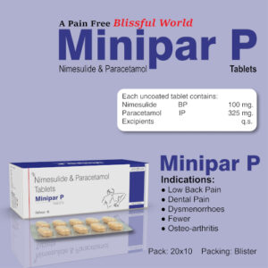 MINIPAR P
